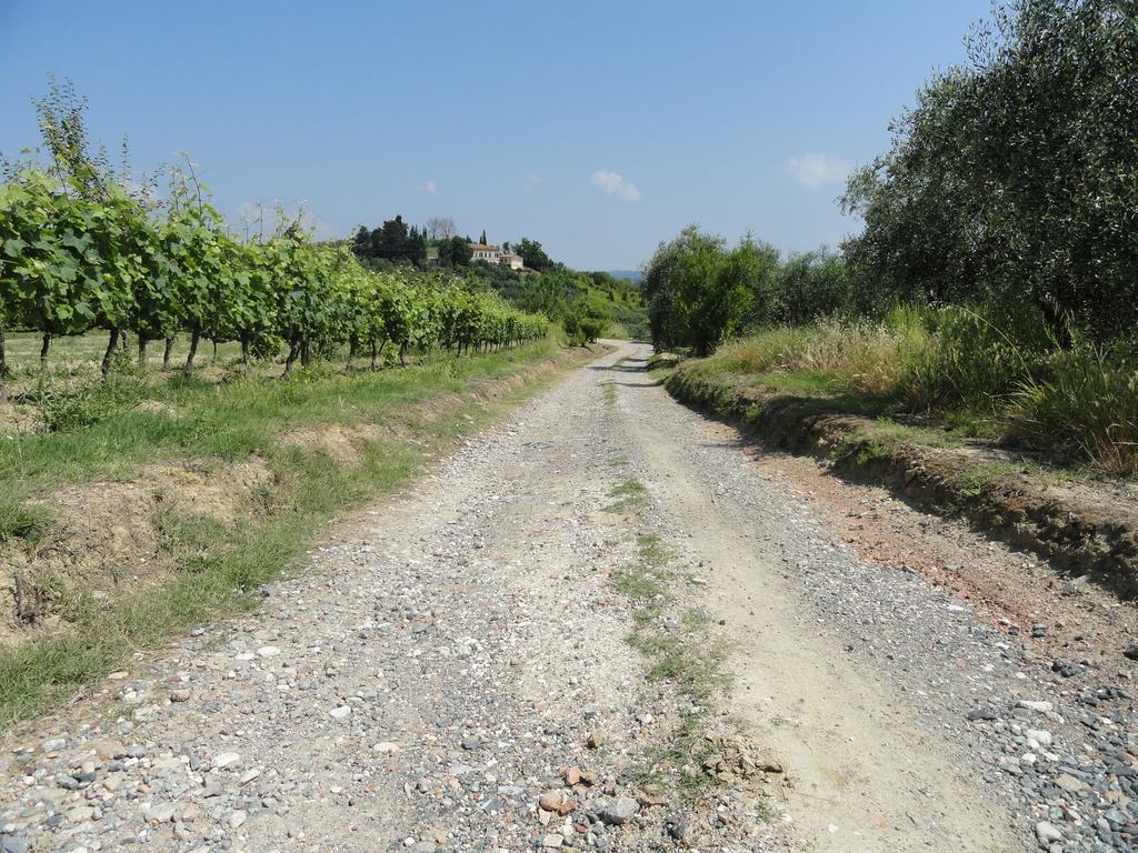 Poggio Novello Apartman Peccioli Kültér fotó